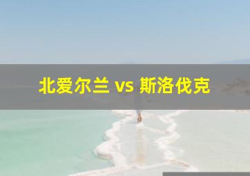 北爱尔兰 vs 斯洛伐克